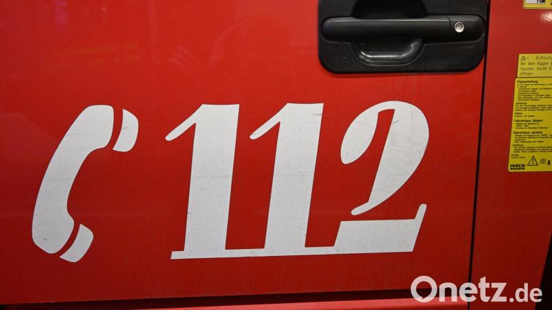 Bei einem Brand sind 100 Schweine verendet. (Symbolbild) Bild: Felix Hörhager/dpa