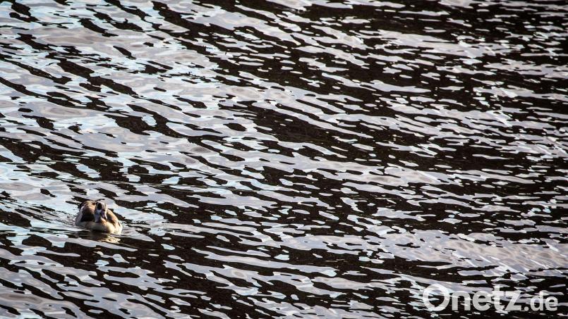 Auf dem Main in Unterfranken gab es eine Havarie, bei der Dieselkraftstoff ins Wasser gelaufen ist. (Symbolbild) Bild: picture alliance / Frank Rumpenhorst/dpa