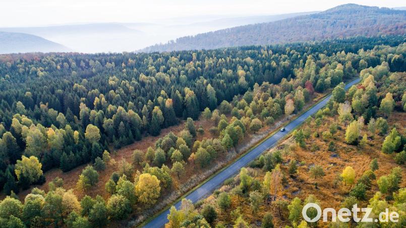 Die Forschenden empfehlen verschiedene Varianten, um das Klima zu schützen. (Symbolbild) Bild: Swen Pförtner/dpa
