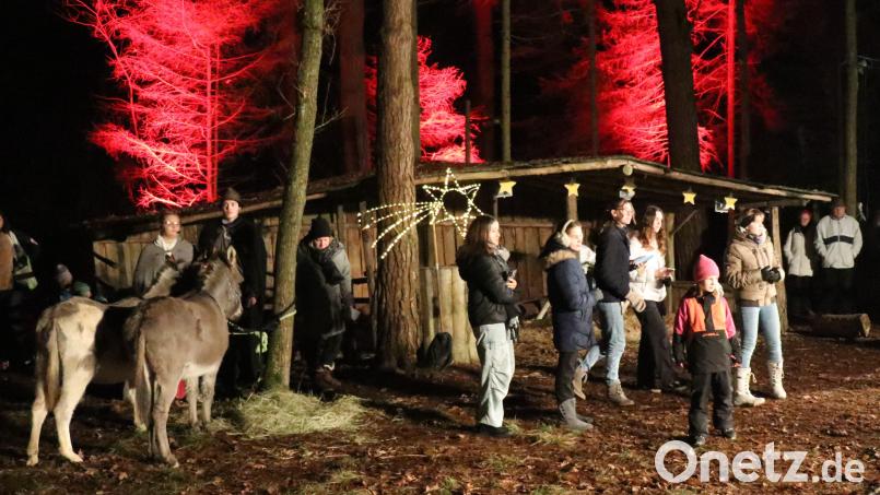 Eine ganz besondere Stimmung herrscht bei der Sorghofer Waldweihnacht. Archivbild: mma