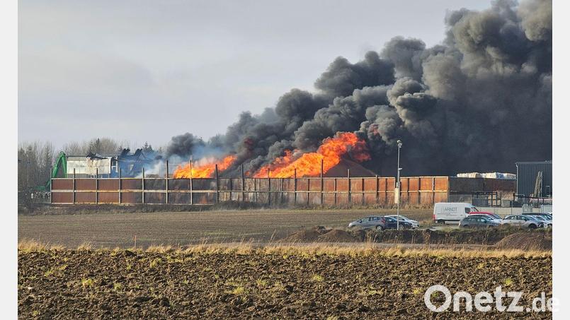 Die Ermittler schätzen den Schaden durch das Feuer in Gattendorf (Landkreis Hof) auf rund vier Millionen Euro. (Archivbild) Bild: Mike Müller/dpa