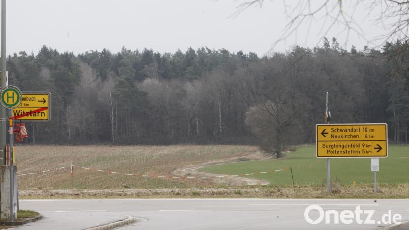 In diesem Waldstück an der Grenze von Schwandorf und Burglengenfeld soll ein Windpark mit zwölf Windrädern entstehen. Bild: Hirsch