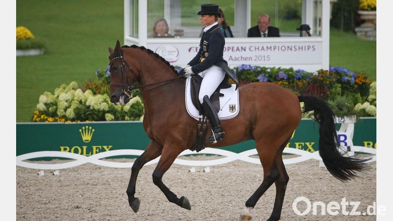Isabell Werths Pferd Don Johnson, hier bei der EM 2015 in Aachen, ist tot. (Archivbild) Bild: picture alliance / dpa