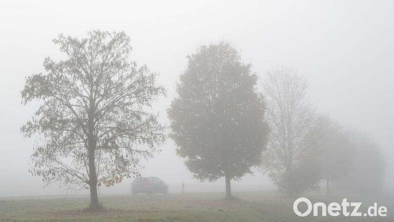 Im Donauraum erwartet der DWD dichten Nebel. In Südbayern könnte es dagegen Glatt werden. (Archivbild) Bild: Stefan Puchner/dpa
