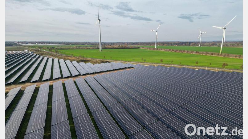 Erneuerbare Energien werden in diesem Jahr laut einer Hochrechnung knapp 56 Prozent des Stromverbrauchs decken. (Symbolbild) Bild: Jan Woitas/dpa