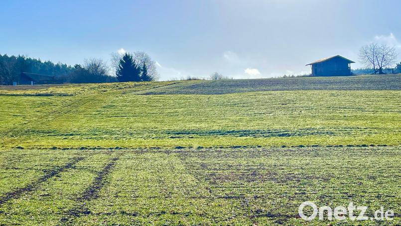 Die Planung für das Bebauungsgebiet Seugast "Zierlohe" befindet sich in der Endphase. Die Nachfrage vor allem von jungen Familien ist groß. Ein Schuppen im Besitz der Gemeinde (hinten rechts) wird abgerissen. Bild: Krones