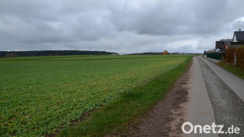 Der Gemeinderat Speichersdorf hat beschlossen, eine landwirtschaftliche Fläche aus dem Bebauungsplan "Kirchenlaibach Nord-West" zu streichen. Bild: ak