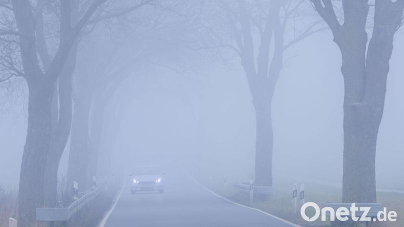 Dichter Nebel sorgte dafür, dass ein Schulbusfahrer die Abzweigung verpasste. (Symbolbild) Bild: Jens Büttner/dpa