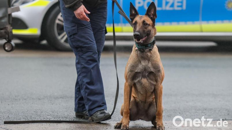 Wegen des Umfangs und der Art der Ladung wurde das Auto bei einer Dienststelle detailliert kontrolliert und mit einem Diensthund durchsucht. (Symbolbild) Bild: Jan Woitas/dpa