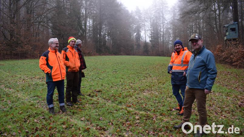 Stellvertretender Betriebsleiter Ingo Greim (rechts) von den Bayerischen Staatsforsten und Projektleiter Stefan Auhuber (Zweiter von rechts) von der "Max Bögl Wind AG" erläutern den späteren Trassenverlauf und die notwendigen Rodungsarbeiten. Bild: bnr