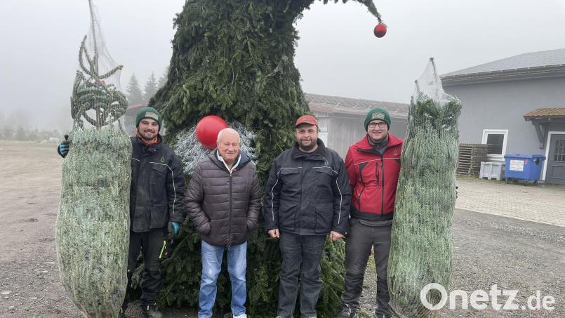 Der Italiener Renato Cenedella ´(2. von links) verbindet seine Geschäftsreise nach Oberbayern mit einem Abstecher zum Christbaumkauf bei seinen Freunden (von rechts) Tobias Hanauer, Thomas Bösl und Fabian Dierl (links) in Eslarn. Bild: gz