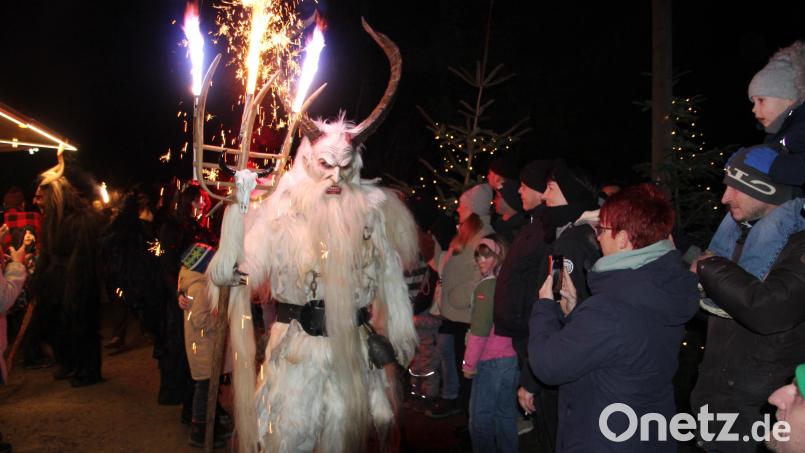 Die "Grölldeifl" aus Konnersreuth haben sich am Samstag zur "Mühlen-Weihnacht" in Mähring angesagt. Archivbild: kro