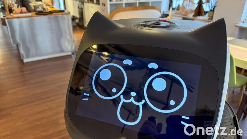 "Bella", ein Service-Roboter, bedient im Konditorei-Café Amelie in Amberg. Der rollende Automat hat einen Katzenkopf, ein Bildschirm-Gesicht und Katzenohren. Bild: Petra Hartl