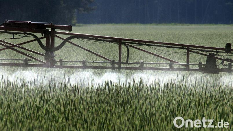 Die EU hat die Genehmigung für Glyphosat zuletzt bis Ende 2033 verlängert. (Symbolbild) Bild: Peter Förster/dpa