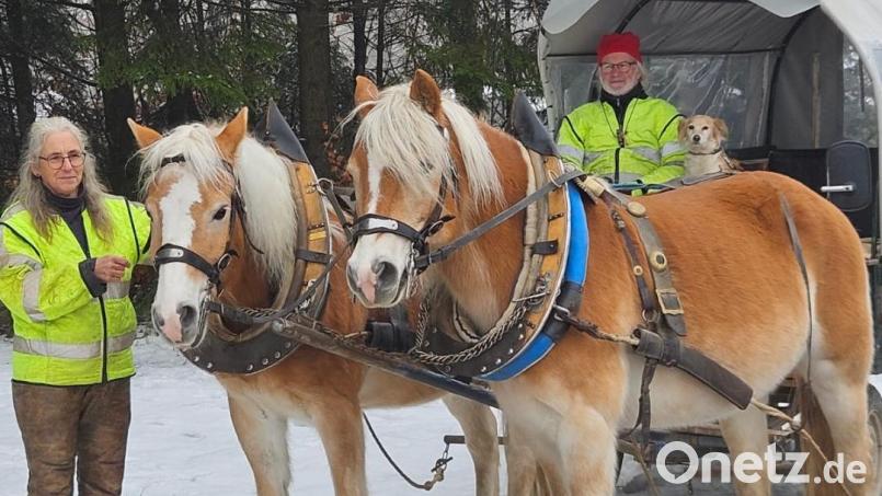 Kutschfahrten mit den Haflingern sind sommers wie winters sehr beliebt bei Kindern und Erwachsenen. An Sonntagen unternehmen Angela Ruppert und Peter Wenisch allein eine Ausfahrt, nur Mischlingshündin Lady ist dabei. Bild: hka