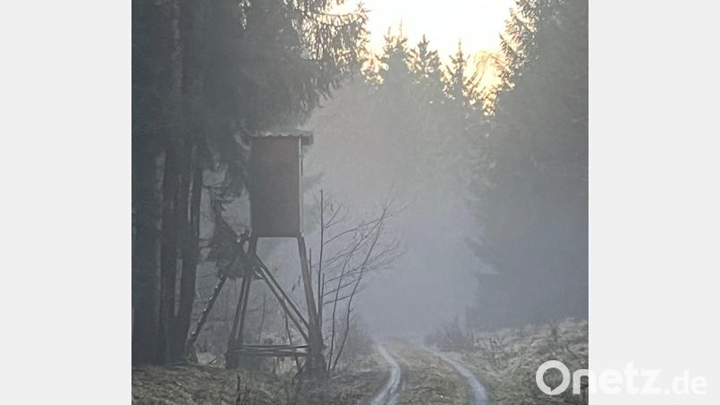 Schlechtes Wetter mit Nebel und Regen reduziert in den ohnehin kurzen Wintertagen die Chance, Wild bei passendem Büchsenlicht erspähen zu können nochmals erheblich. Bild: Christian Ertl/exb