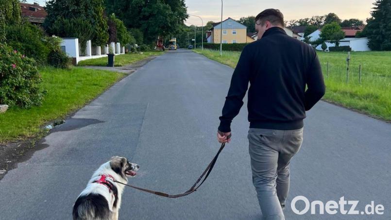 Julien Schneider mit seinem Hund Koda. Bild: Julien Schneider/privat