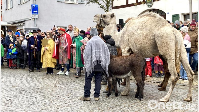 Traditionell schauen die Sternsinger beim Hirtentag in Hersbruck vorbei. Auf den Kamelen darf geritten werden. Bild: Ruth Bär/Deutsches Hirtenmuseum Hersbruck/exb