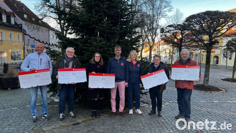 Die Vohenstraußer Apotheken überreichen Spenden an wohltätige Organisationen. Im Bild sind (von rechts nach links): Herbert Putzer, Kinderkrebshilfe; Dekan Alexander Hösl, katholische Kirche; Regina und Franz Wolf, Stadt-Apotheke; Pfarrerin Carmen Riebl, evangelisch-lutherische Kirchengemeinde, Thomas Ebnet, „Hoffnung für Menschen“, und Martin Wolf, Stadt-Apotheke, der die Spende für „Apotheker Helfen“ entgegennimmt. Bild: Rosen-Apotheke