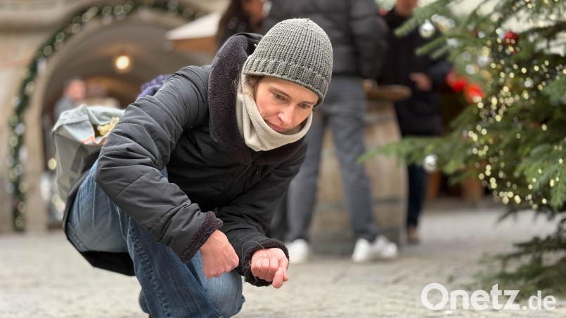 Tierschützerin Mirjam Schöberl sammelt in Weiden Pferdehaare ein. Bild: Gabi Schönberger