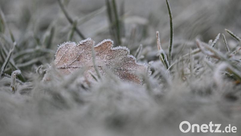 Vielerorts bleibt es schneefrei an Weihnachten - aber es kann Reif geben. Bild: Marijan Murat/dpa