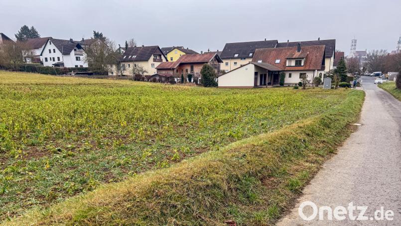 Das größte künftige Baugebiet, das demnächst in der Stadt ausgewiesen wird, ist der Bereich nördlich der Sauerzapfstraße und heißt „Am Katzenberg Nord“. Hier entstehen auf 3,6 Hektar Einzel-, Doppel-, Reihen- und Mehrfamilienhäuser. Bild: Stephan Huber