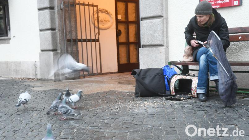 Mirjam aus Flossenbürg kümmert sich in ihrer Freizeit um die Tauben in Weiden. Von der Stadt würde sie sich mehr Unterstützung wünschen. Bild: Gabi Schönberger