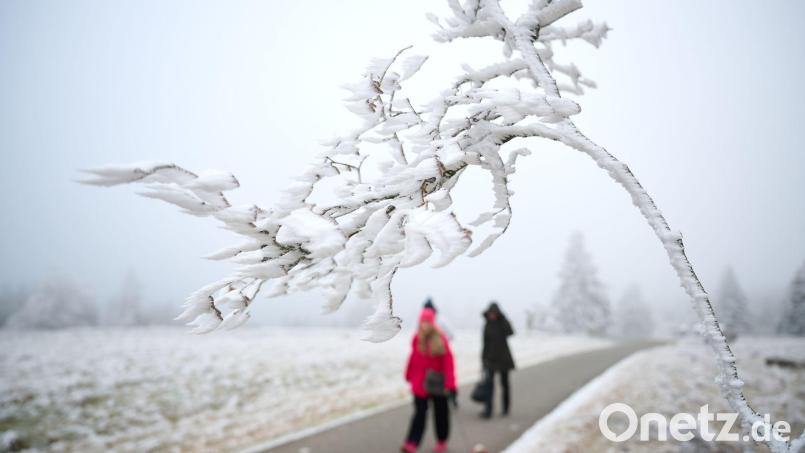 Schnee zu Weihnachten wird es nur vereinzelt geben. Bild: Bernd Thissen/dpa