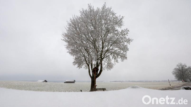 In Teilen Bayerns rieselte an Heiligabend Schnee herunter. Bild: Peter Kneffel/dpa