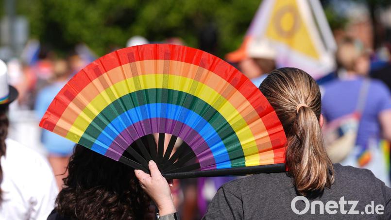 Der Iran will das Pride-Spiel bei der WM in Seattle unbedingt verhindern. (Archivbild) Bild: David Zalubowski/AP/dpa