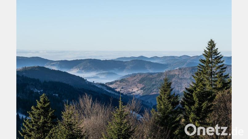 Zum Start in das letzte Wochenende des Jahres kommt etwas mildere Luft nach Deutschland Bild: Silas Stein/dpa