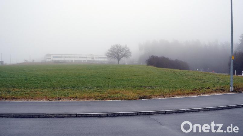 Auf dieser Fläche soll die neue Tankstelle entstehen. Rechts der beginnende Wald mit dem Wasserschutzgebiet - getrennt durch die Bundesstraße 85. Bild: jma