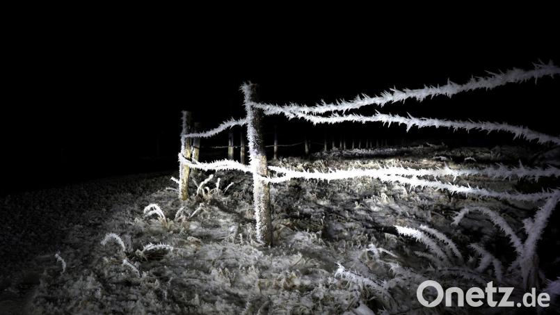 Bis auf minus 12 Grad können die Temperaturen in Bayern in der Nacht auf Montag sinken. (Archivbild) Bild: Karl-Josef Hildenbrand/dpa