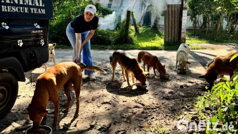 Anita Eichhorn begleitete in Sri Lanka die Fütterungstouren der Doc Care Clinic. Bild: Alexander Keil