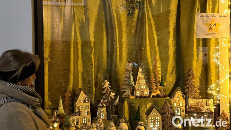 Sämtliche Geschäftsleute gaben sich größte Mühe bei der vorweihnachtlichen Gestaltung ihrer Auslagen und ernteten dafür viel Lob. Das galt besonders auch für das von Anna Bierner mit viel Liebe gestaltete Adventsfenster beim Anwesen Zimmermann. Bild: Alfred Härtl