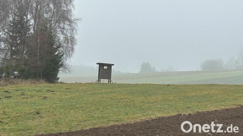 Keine guten Aussichten für Jäger. Bei Nebel und milden Temperaturen macht sich das Wild rar. Bild: ck