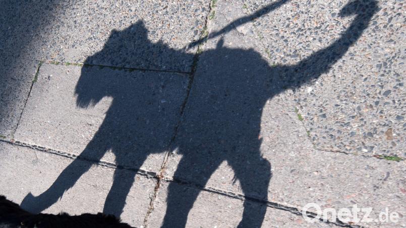 In Amberg wurde ein freilaufender Hund von einem Auto erfasst. Symbolbild: Ralf Hirschberger/dpa