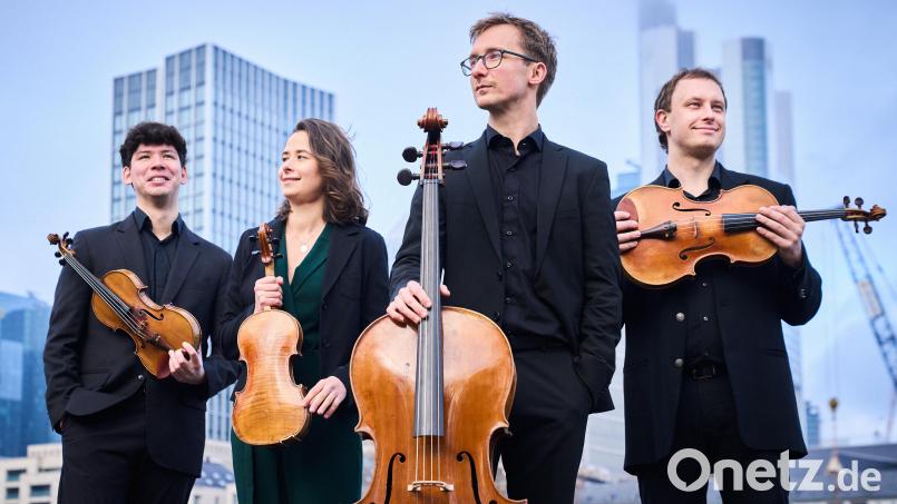 Das Eliot-Quartett spielt am 21. Januar Kammermusik in Sulzbach-Rosenberg. Bild: Kaupo Kikkas