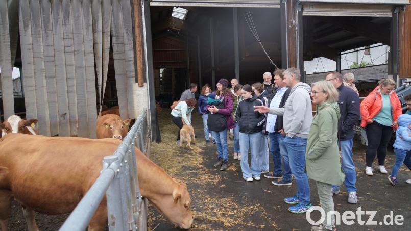 Doris Völkl (vorne) organisiert regelmäßig Netzwerktreffen mit Unternehmerinnen und Unternehmern im Landkreis Neustadt/WN. Hier kam die Gruppe auf dem Biohof Schaller bei Pleystein zusammen. Bild: fvo