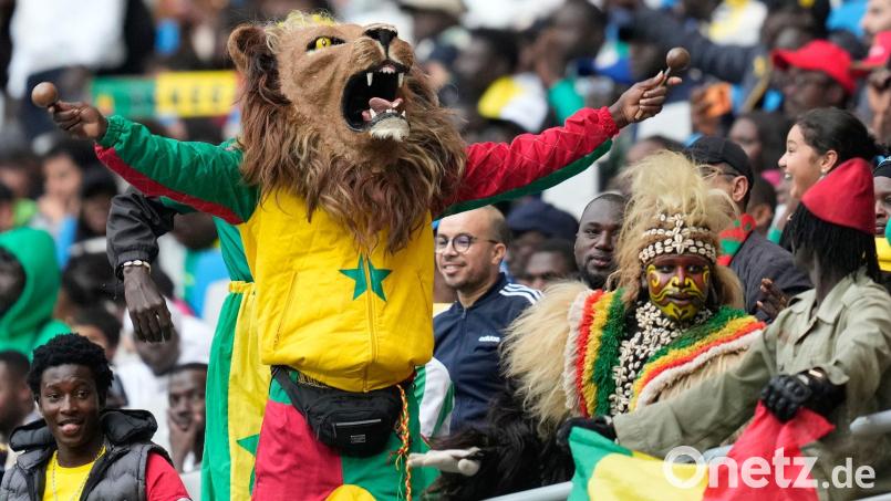 Senegalesische Fans beim Spiel im Afrika Cup gegen den Sudan. Eine Anhängerin kam zuvor bei einem Verkehrsunfall ums Leben. Bild: Mosa'ab Elshamy/AP/dpa