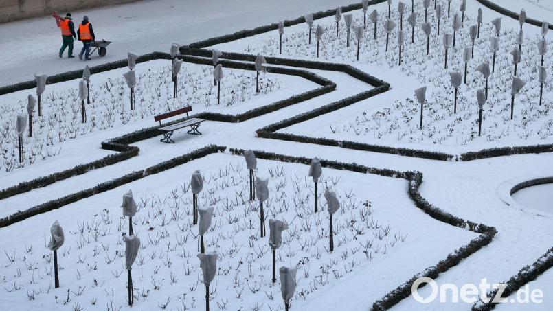 Im Freistaat bleibt es vorerst frostig. Bild: Karl-Josef Hildenbrand/dpa
