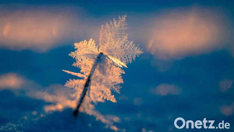 Eisige Temperaturen können für Menschen ohne Wohnung lebensgefährlich sein. Bild: Patrick Pleul/dpa