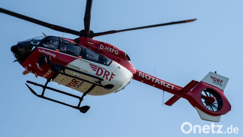 Ein 14-Jähriger zog sich bei Waldarbeiten schwere Kopfverletzungen zu. Symbolbild: Stefan Sauer/dpa