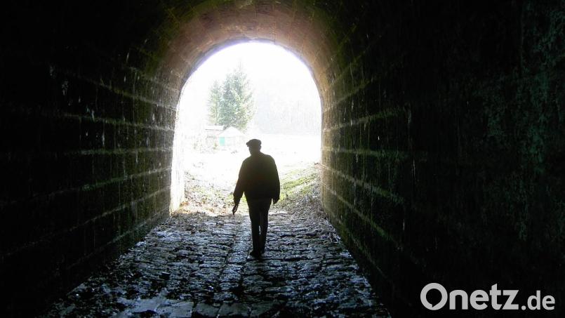 Der südliche alte Tunnelteil in Rundbogen- und charakteristischer Dolomitstein-Architektur (27 Meter Länge) aus der Zeit des Baus der Ostbahn 1858/59. Bild: Walter Schraml