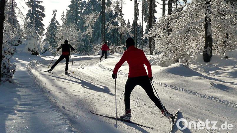 Die Panoramaloipe im Sonnenschein: Der Traum jedes Langläufers. Bild: Siegfried Fillipp/WSV Schönsee