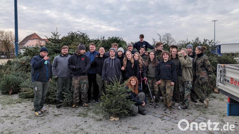 Jedes Jahr schwärmen etliche Jugendliche und junge Erwachsene aus, um in Amberg Christbaume einzusammeln. Den Helfern macht's Spaß. Bild: Elias Lay