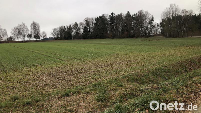 Ob der neue Sportplatz im Nordosten des Waldbadeweihers – zwischen Fuchsmühl und Güttern gelegen – einmal gebaut wird, hängt auch von der staatlichen Förderung ab. Bild: wro