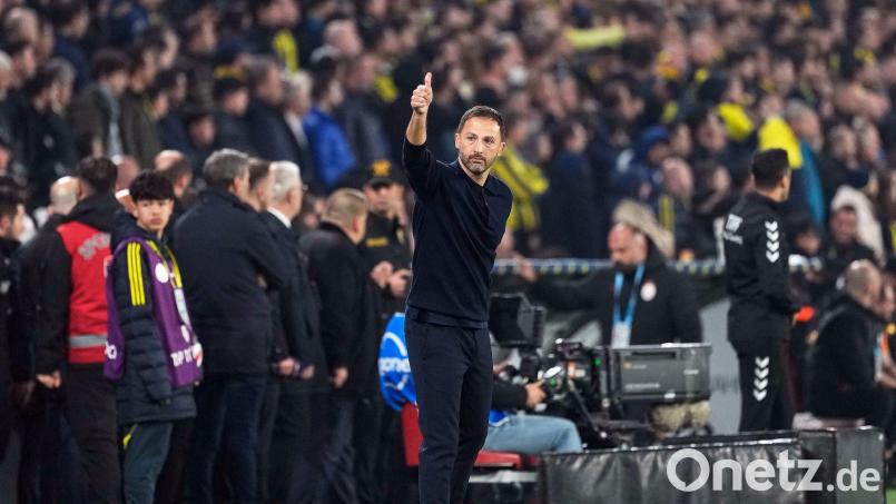 Darf über den ersten Titel in der Türkei jubeln: Domenico Tedesco. (Archivbild) Bild: Khalil Hamra/AP/dpa