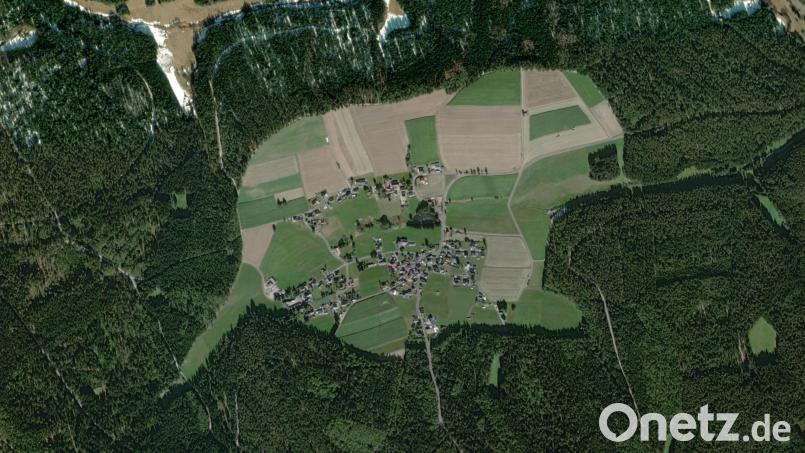 Biber, Murmeltier, Maus, Elefant? Betrachtet man Witzlasreuth und Umgebung auf dem Luftbild, so erinnert die von Wald abgegrenzte Fläche an die Form eines Tieres. Luftbild: © Mapcreator © HERE 2025