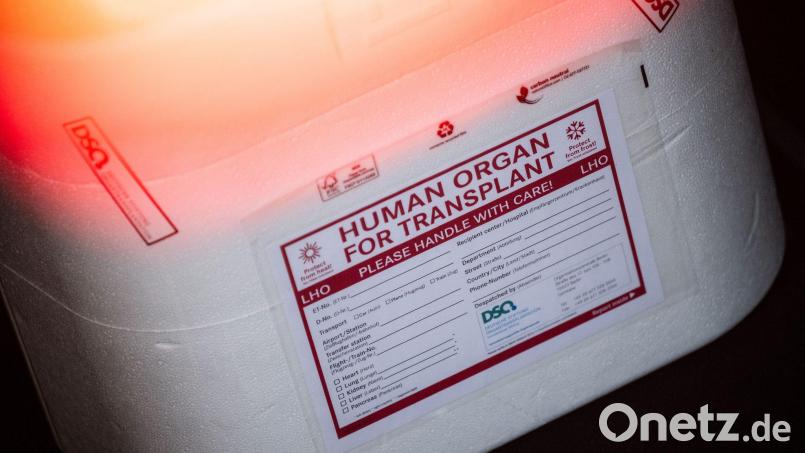 Die Zahl der Organspender in Bayern ist leicht rückläufig. Symbolbild: Sebastian Gollnow/dpa